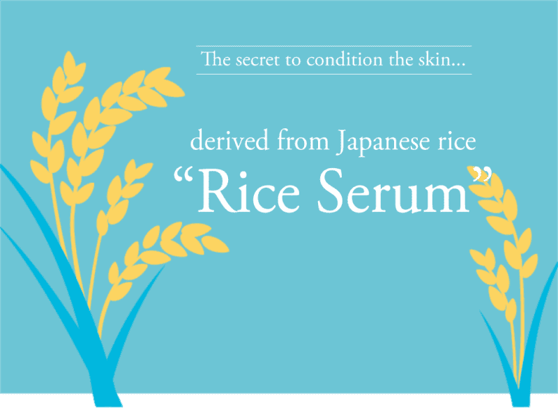 Authentic Ishizawa lab-Keana nadeshiko Rice pack 170gm