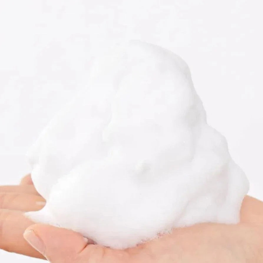 Suisai Powder wash
