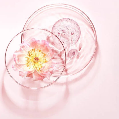 &honey Melty Moist Repair Shampoo